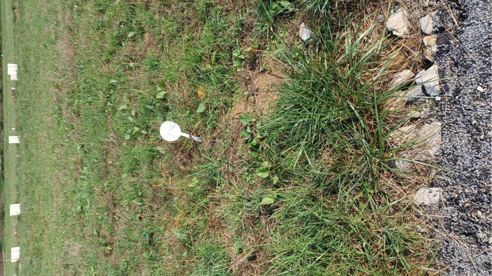 Terrain constructible de 298m2 à Cintré