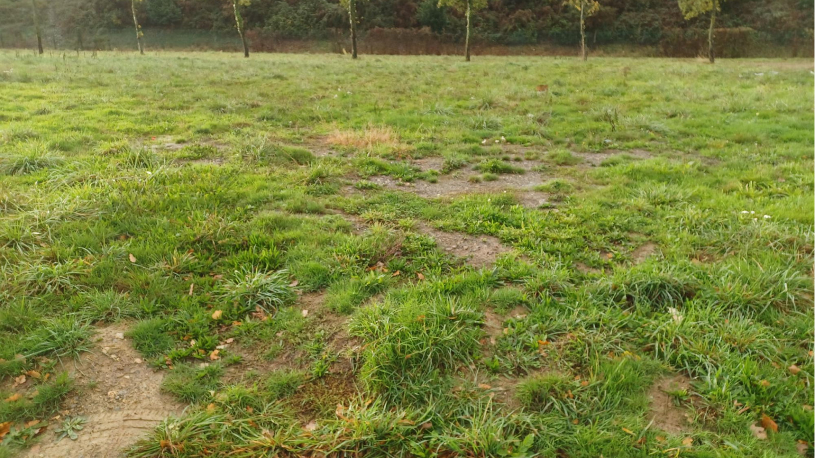 Terrain constructible de 349m2 à Dol-de-Bretagne