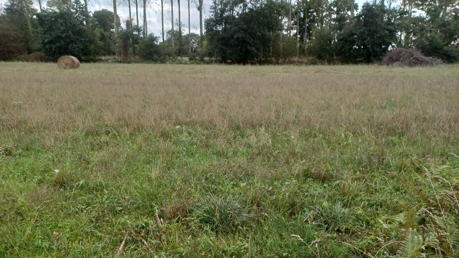 Terrain constructible de 493m2 à Les Champs-Géraux