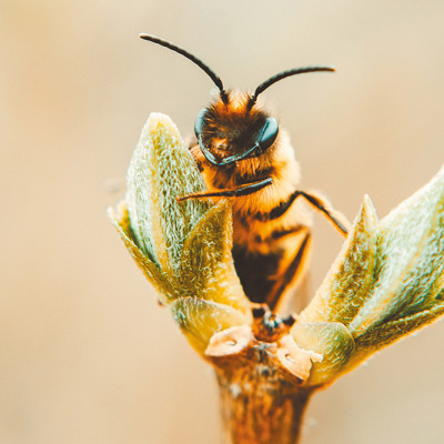 2025 : une nouvelle étape vers des maisons plus respectueuses de l’environnement !