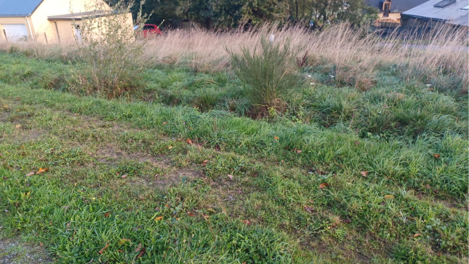 Terrain constructible de 410m2 à Cardroc