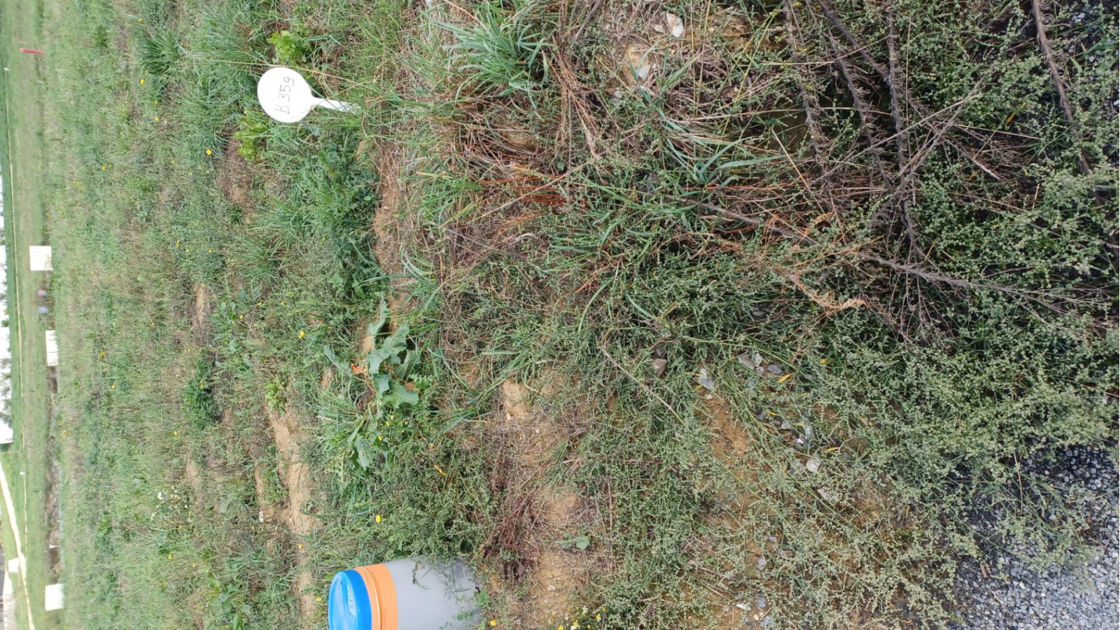 Terrain constructible de 378m2 à Livré-sur-Changeon