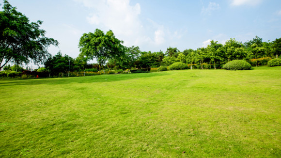 vente-terrain-plaissan.jpg