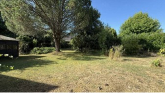 Capture d’écran 2025-07-28 171918.jpg