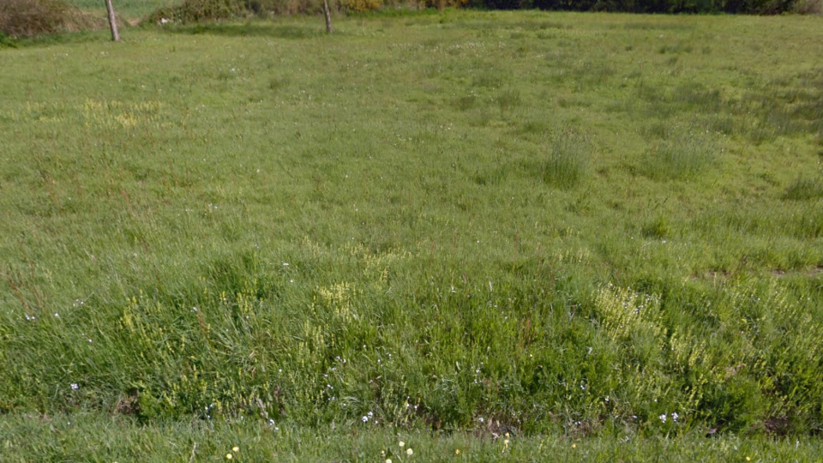 Terrain constructible de 720m2 à Le Gâvre