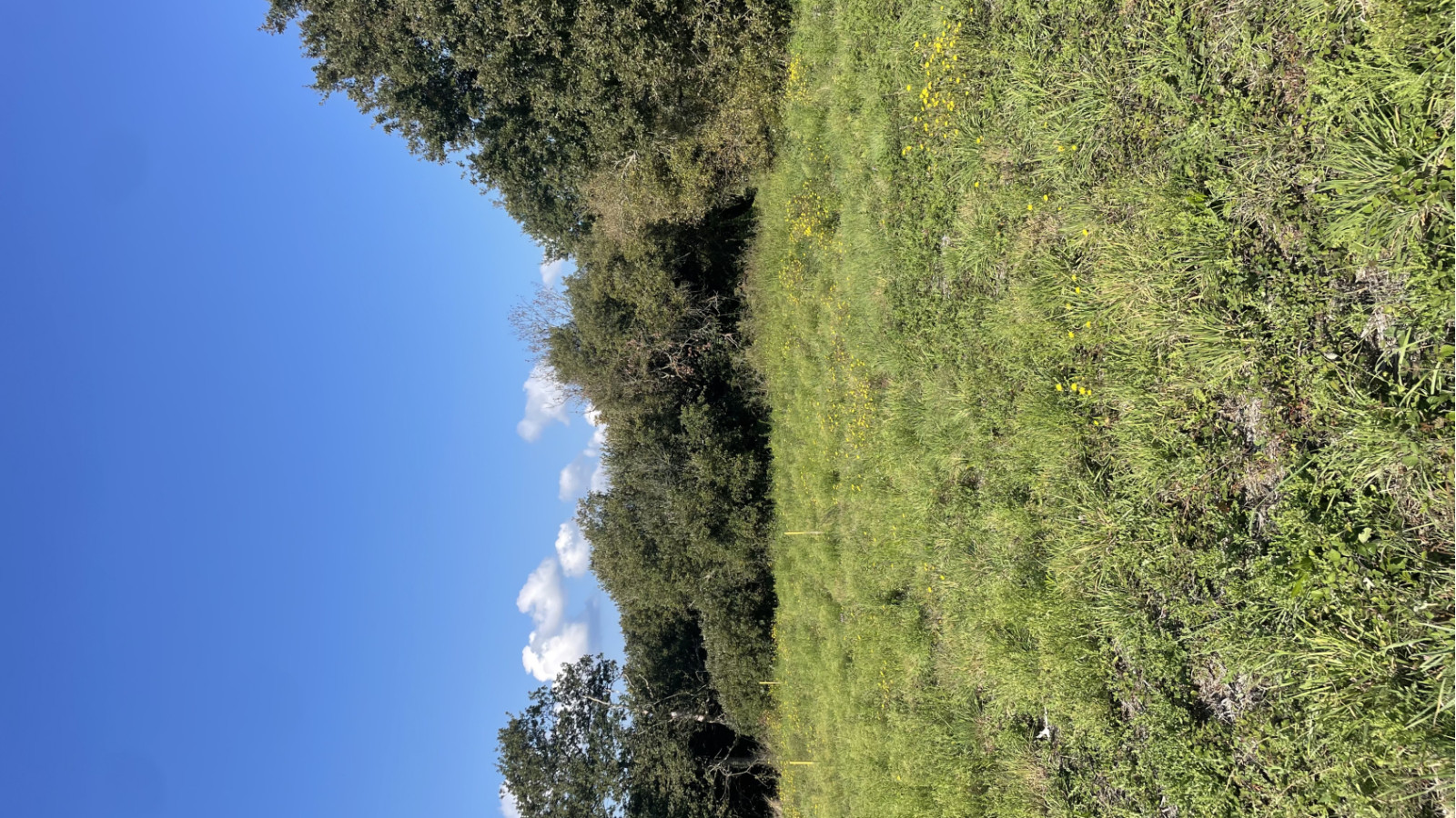 Terrain constructible de 600m2 à Pornichet