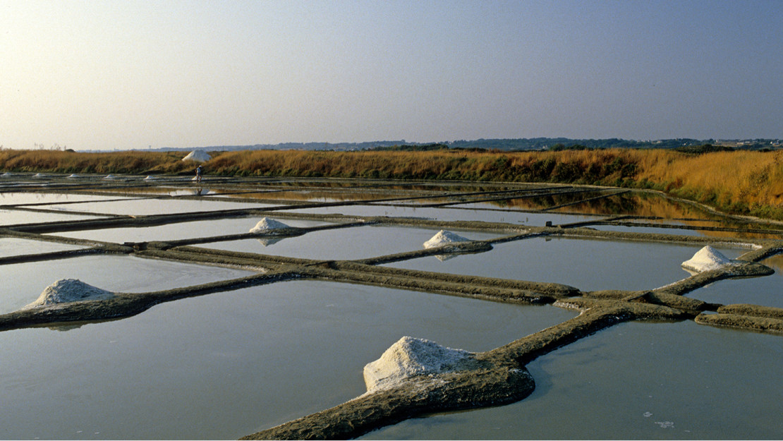 Votre constructeur de maison à Guérande Mortier Construction - 2
