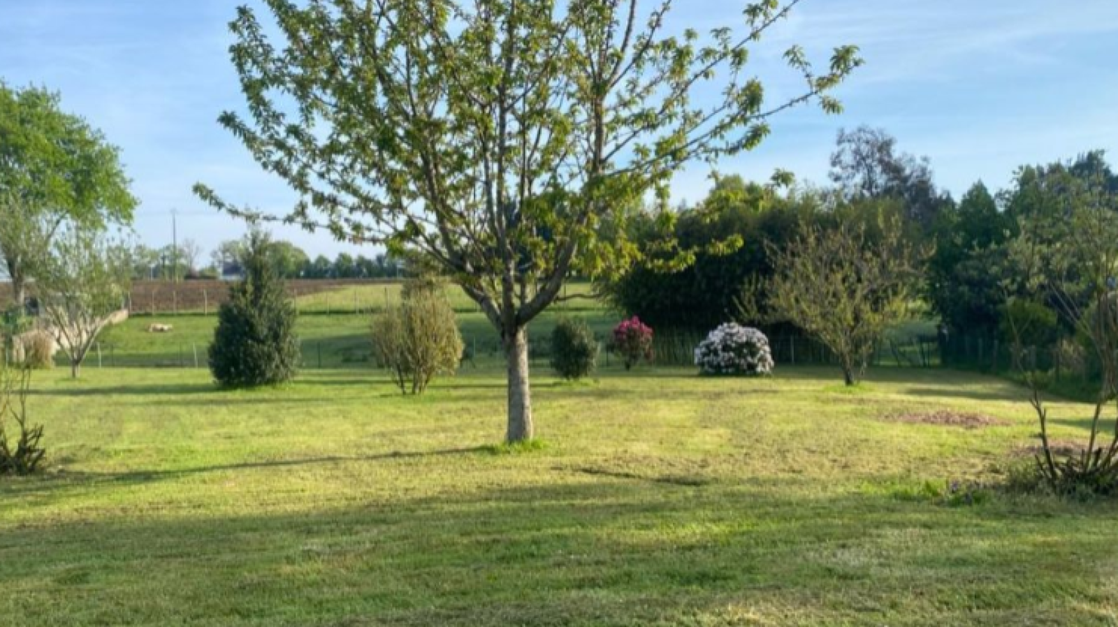 Terrain constructible de 441m2 à Le Cours