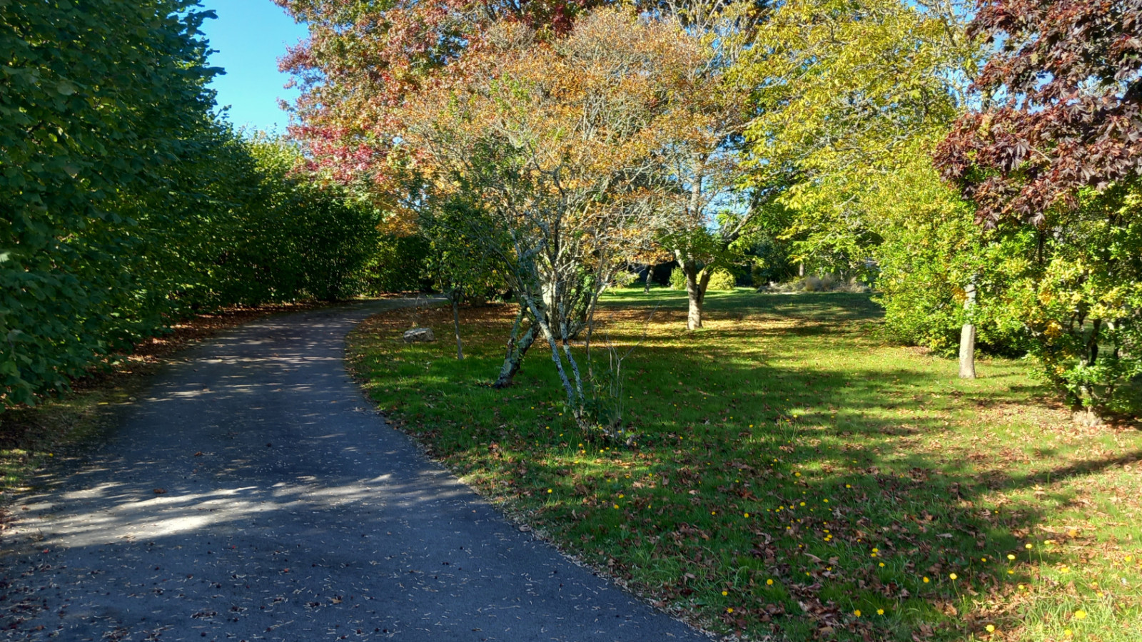 Terrain constructible de 1230m2 à Ploemeur