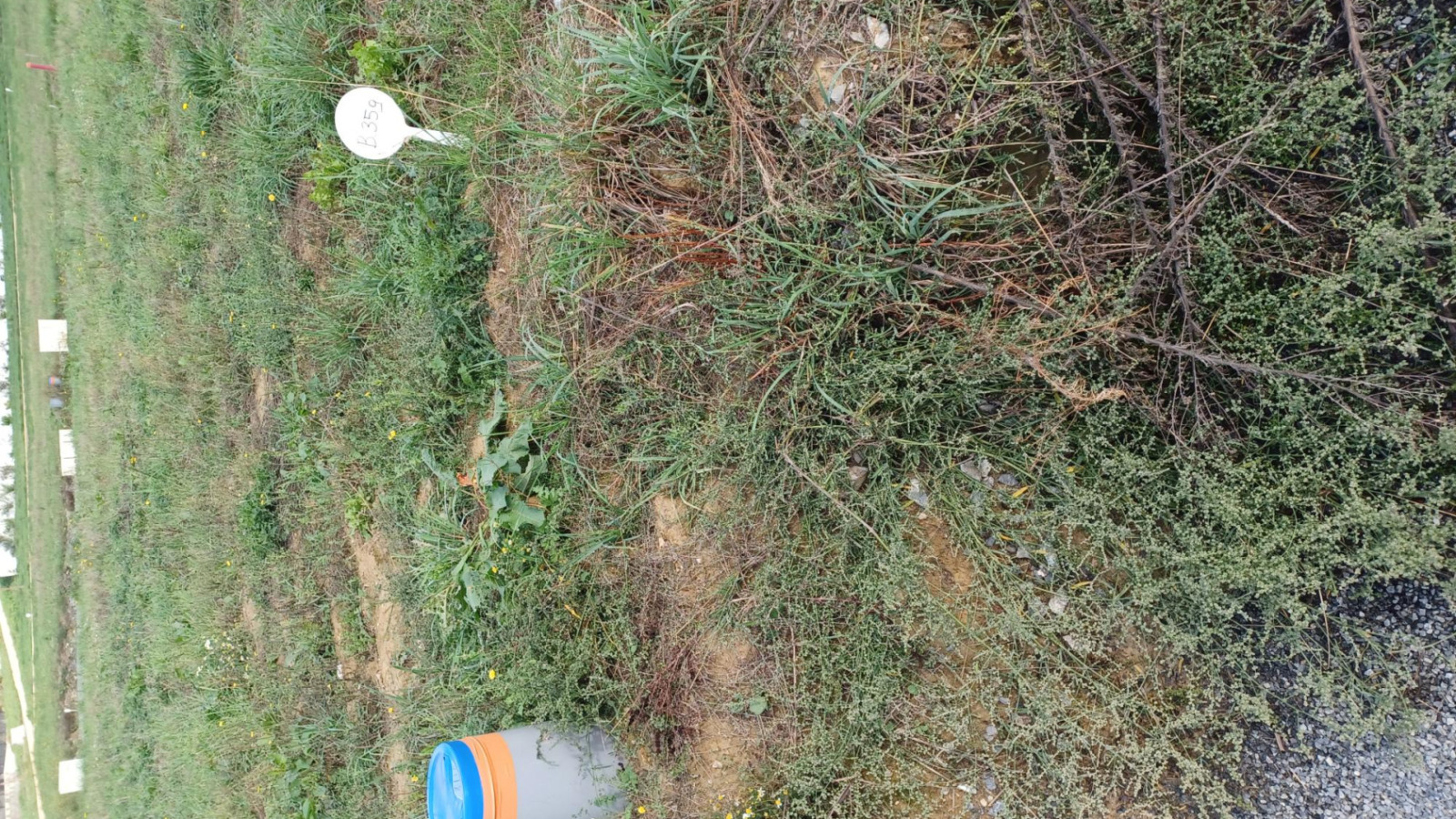 Terrain constructible de 305m2 à Saint-Symphorien