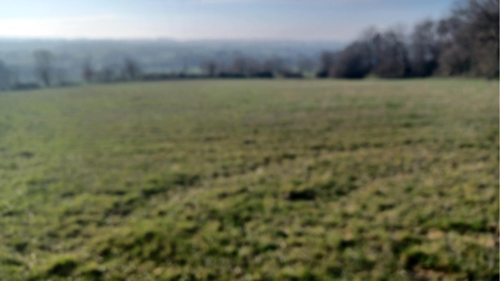 Terrain constructible de 448m2 à Cardroc