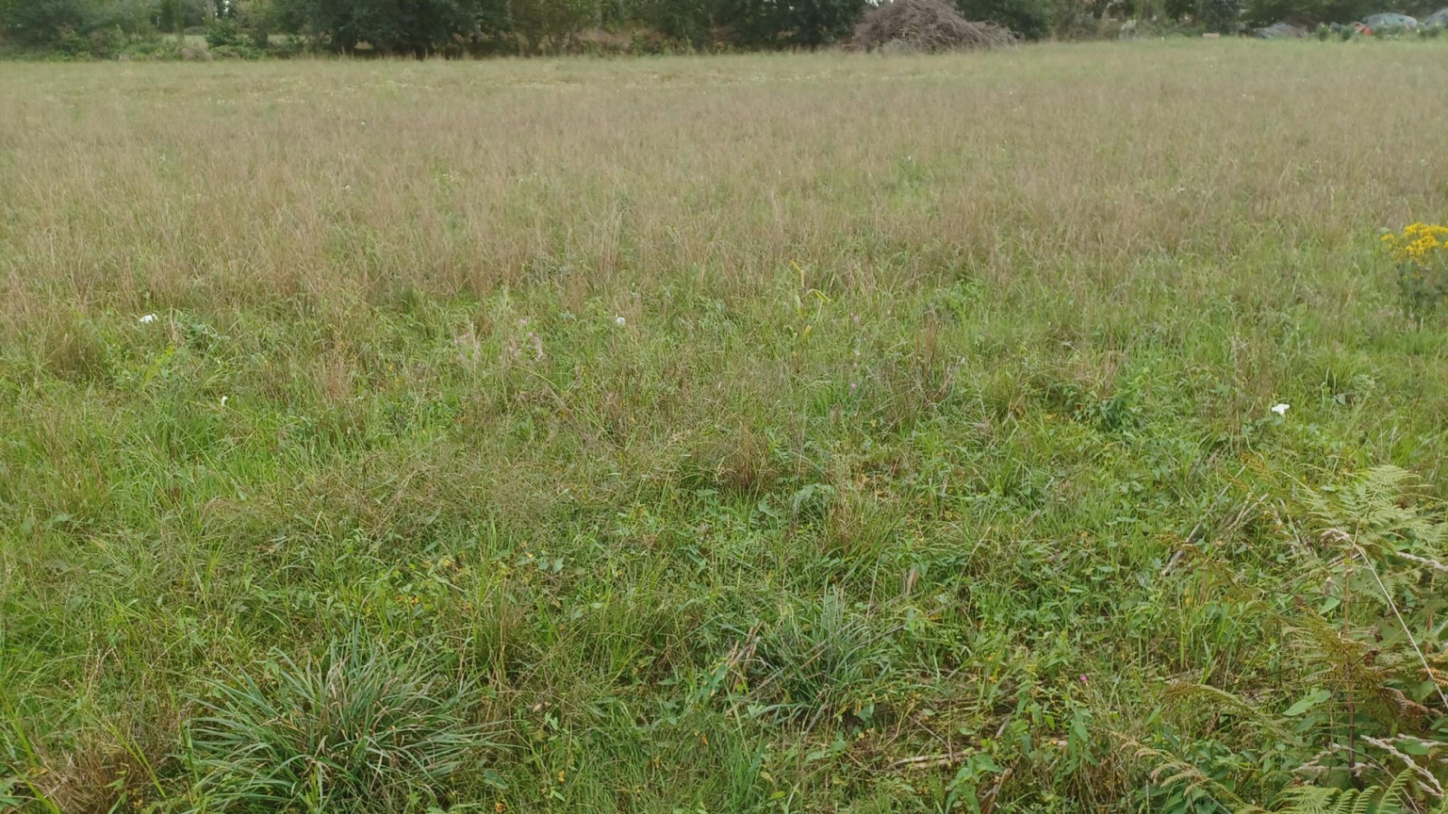 Terrain constructible de 414m2 à Bourg-des-Comptes