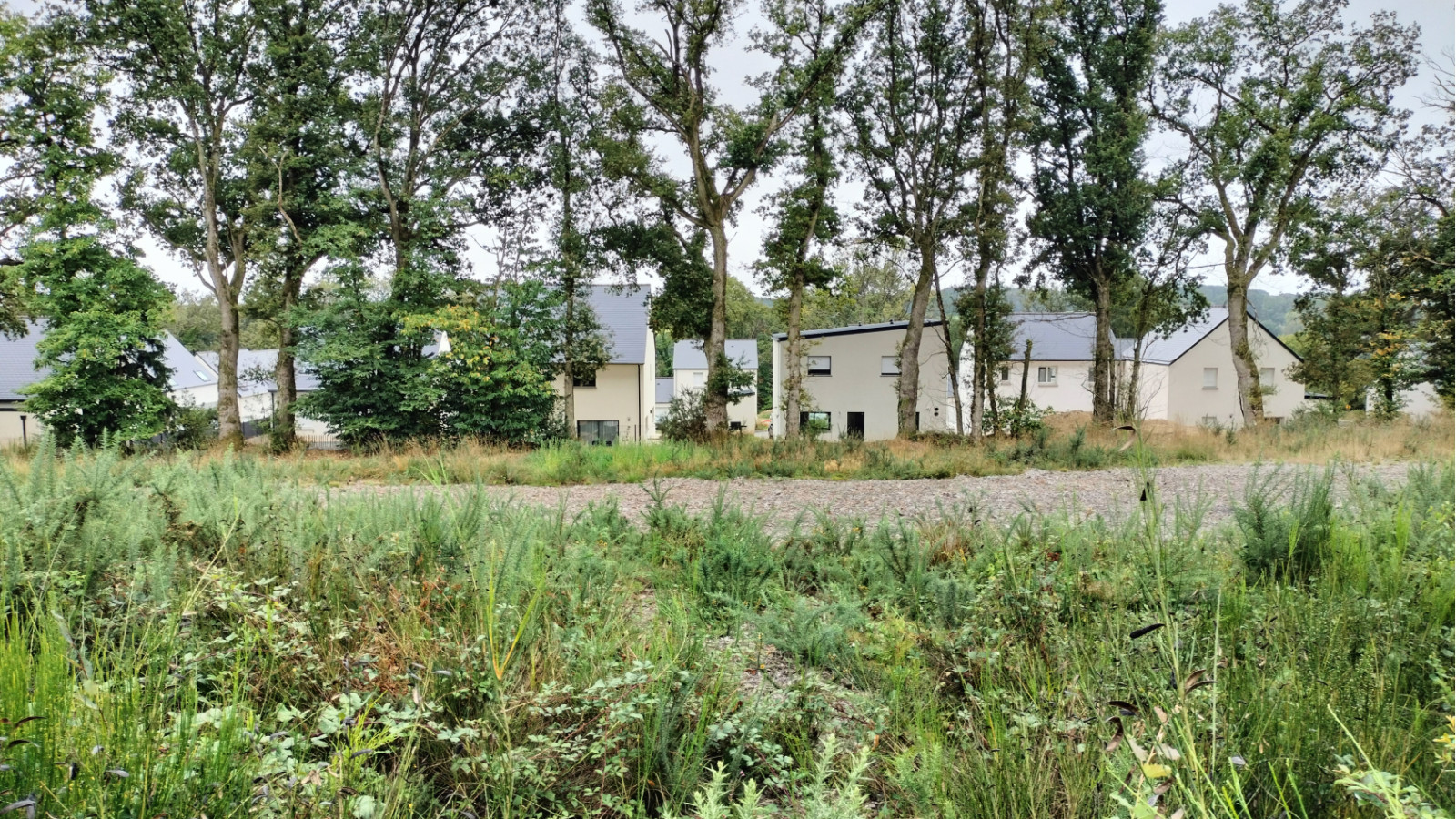 Terrain constructible de 360m2 à Dingé