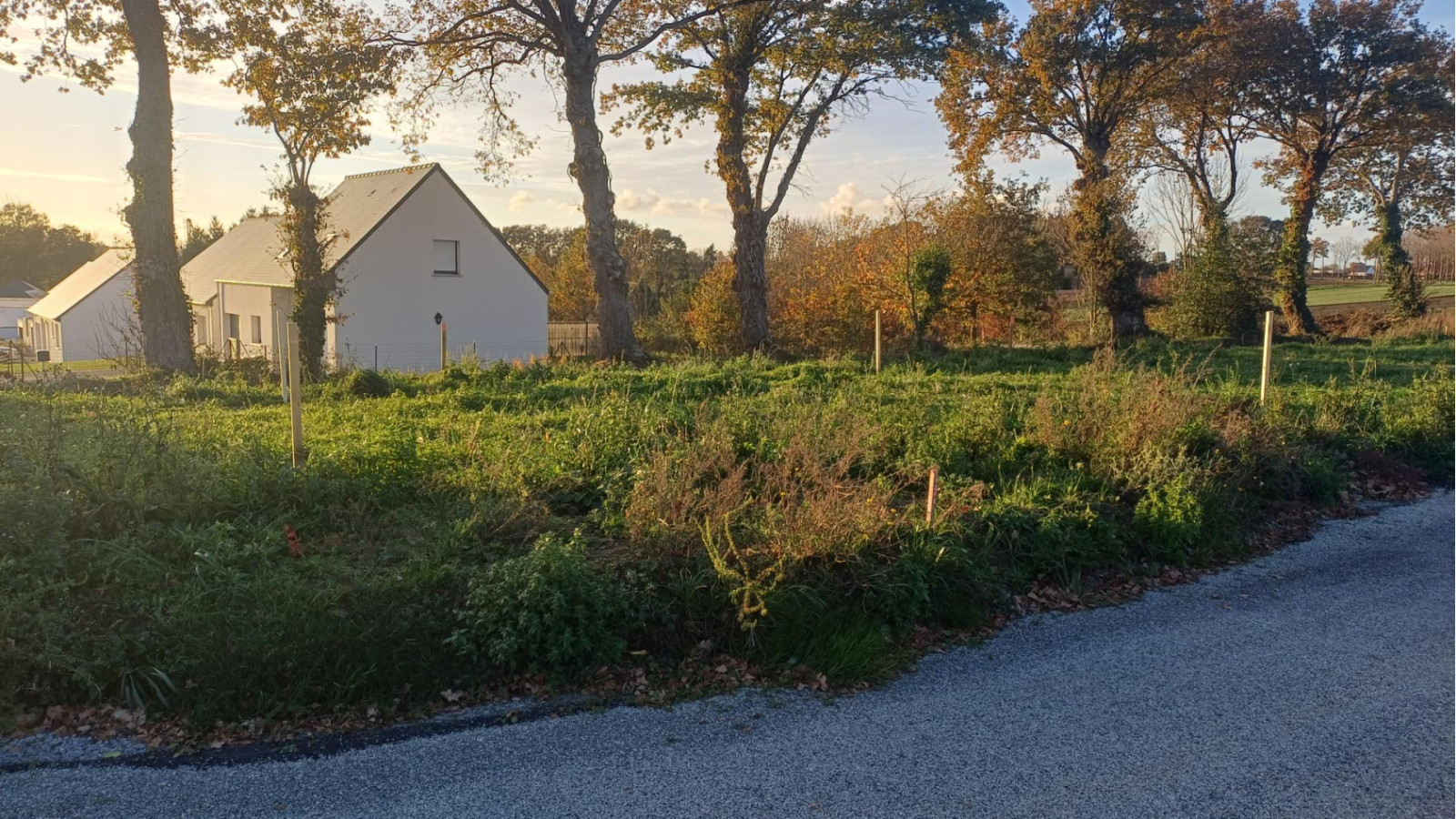 Terrain constructible de 464m2 à Saint-Abraham