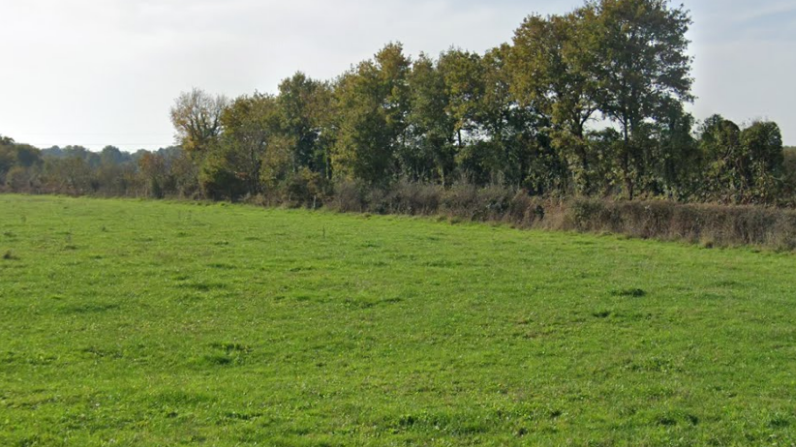 Terrain constructible de 510m2 à Oudon