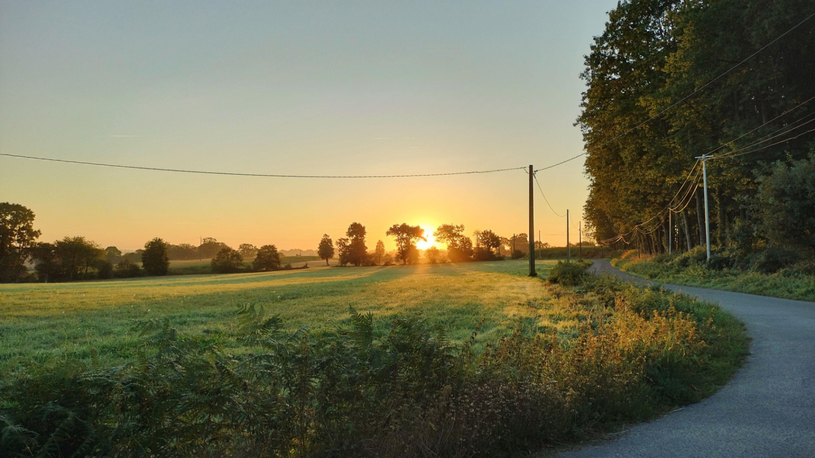 Terrain constructible de 321m2 à Andouillé-Neuville