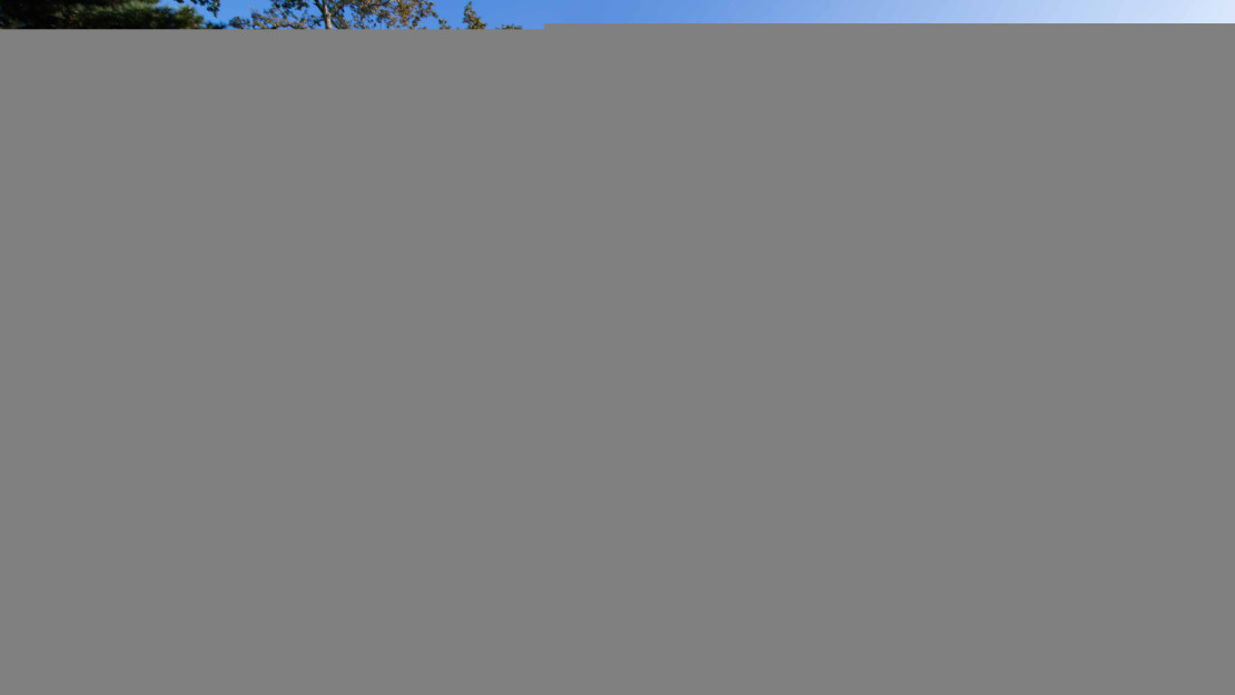 _MG_1253-Avec accentuation-Bruit.jpg