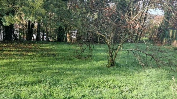 Capture d’écran 2025-12-26 112913.jpg