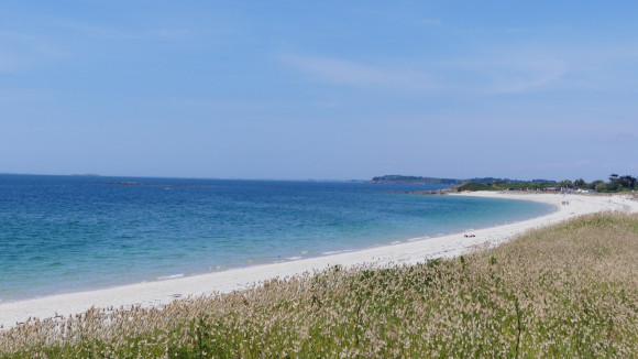 plage-de-goh-velin-saint-gildas-de-rhuys-morbihan.jpg