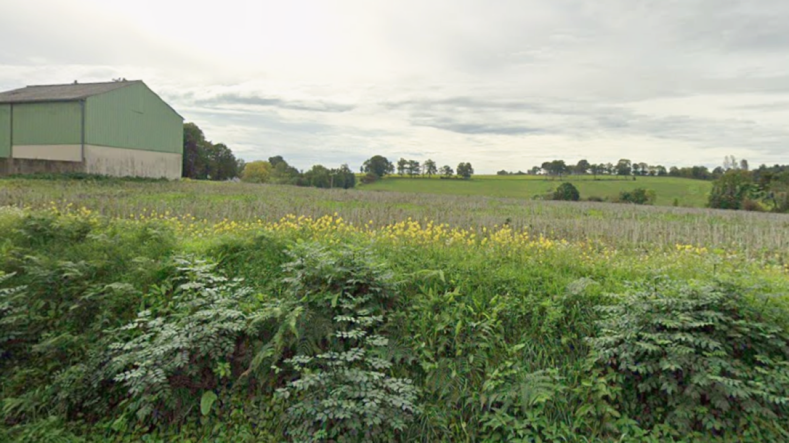Terrain constructible de 249m2 à La Chapelle-Erbrée