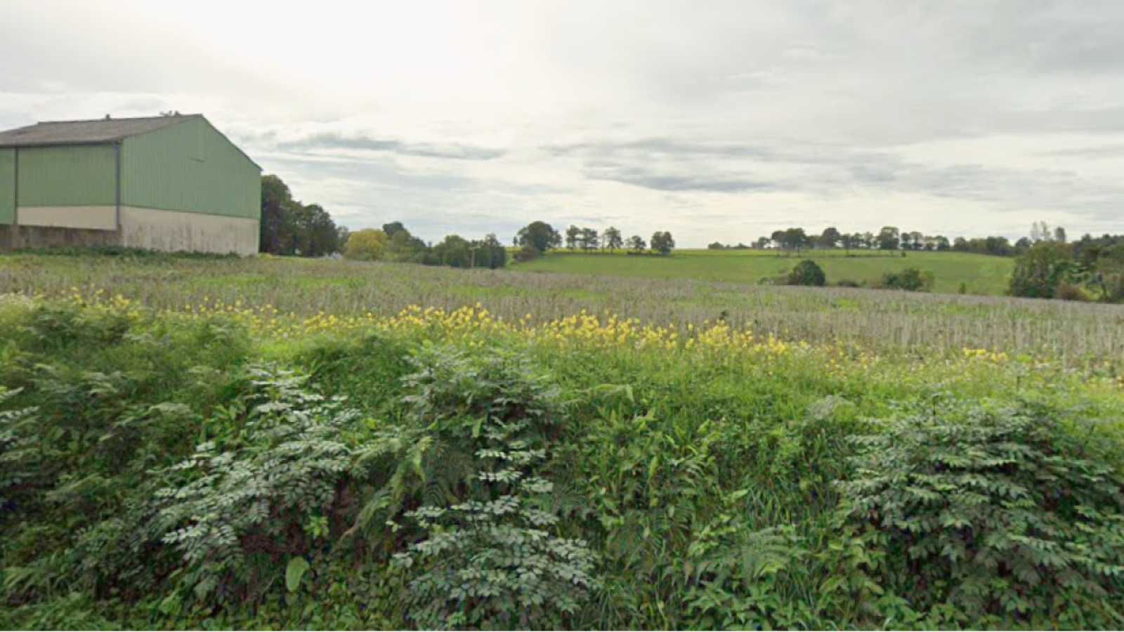 Terrain constructible de 249m2 à La Chapelle-Erbrée