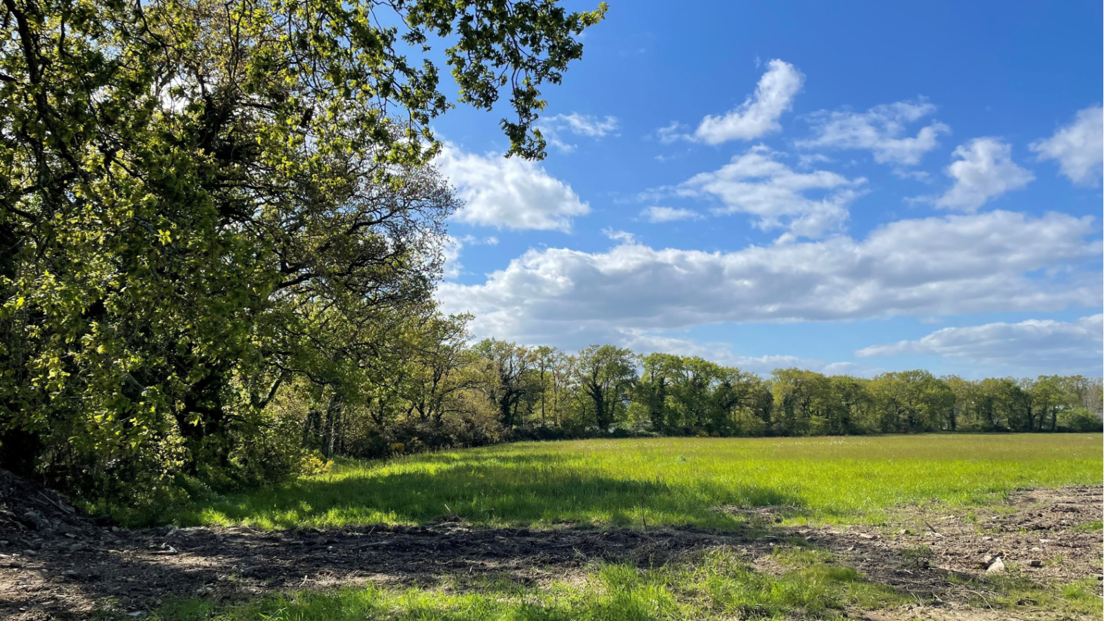 Terrain constructible de 485m2 à Malestroit