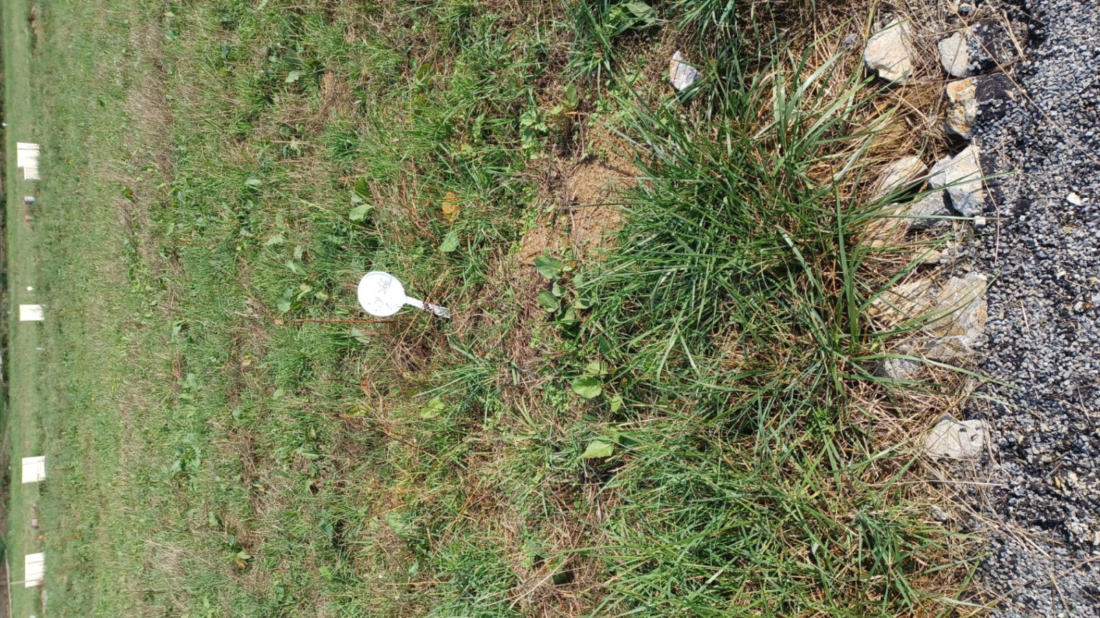 Terrain constructible de 253m2 à Balazé