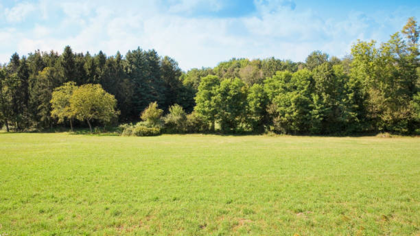 Terrain constructible de 252m2 à Nouvoitou