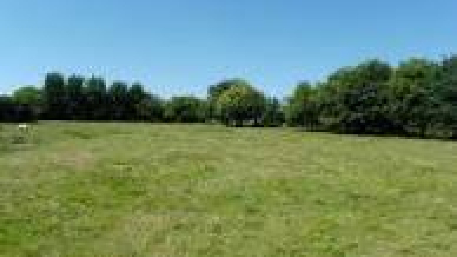 Terrain constructible de 565m2 à Saulnières