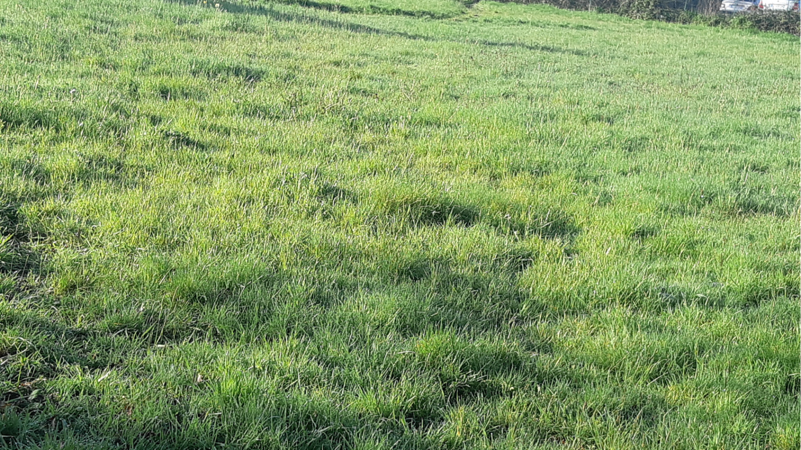 Terrain constructible de 1640m2 à Saint-Joachim