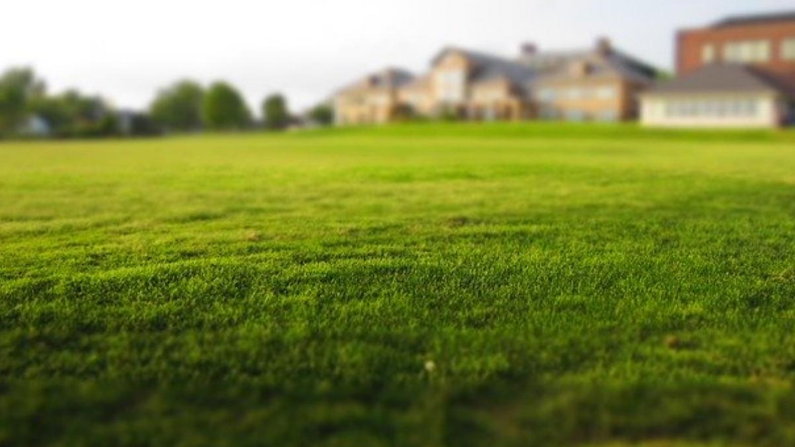 Terrain constructible de 560m2 à Guérande