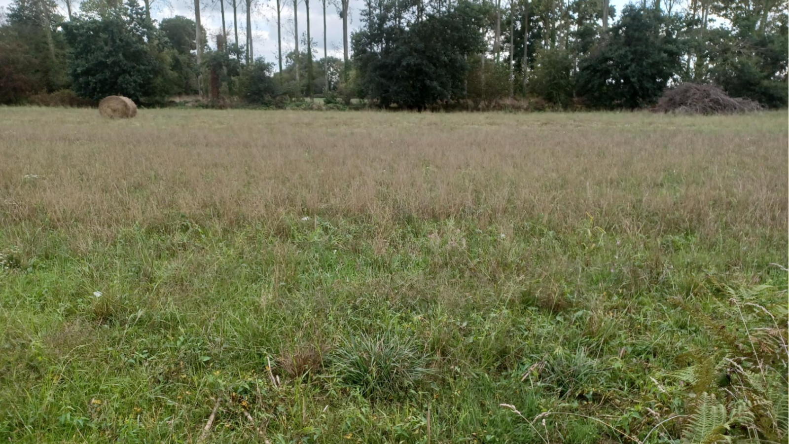 Terrain constructible de 376m2 à Pancé