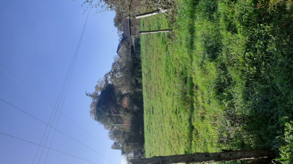 20201112_112517.jpg