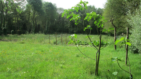 terrain arzal 2880m².jpg