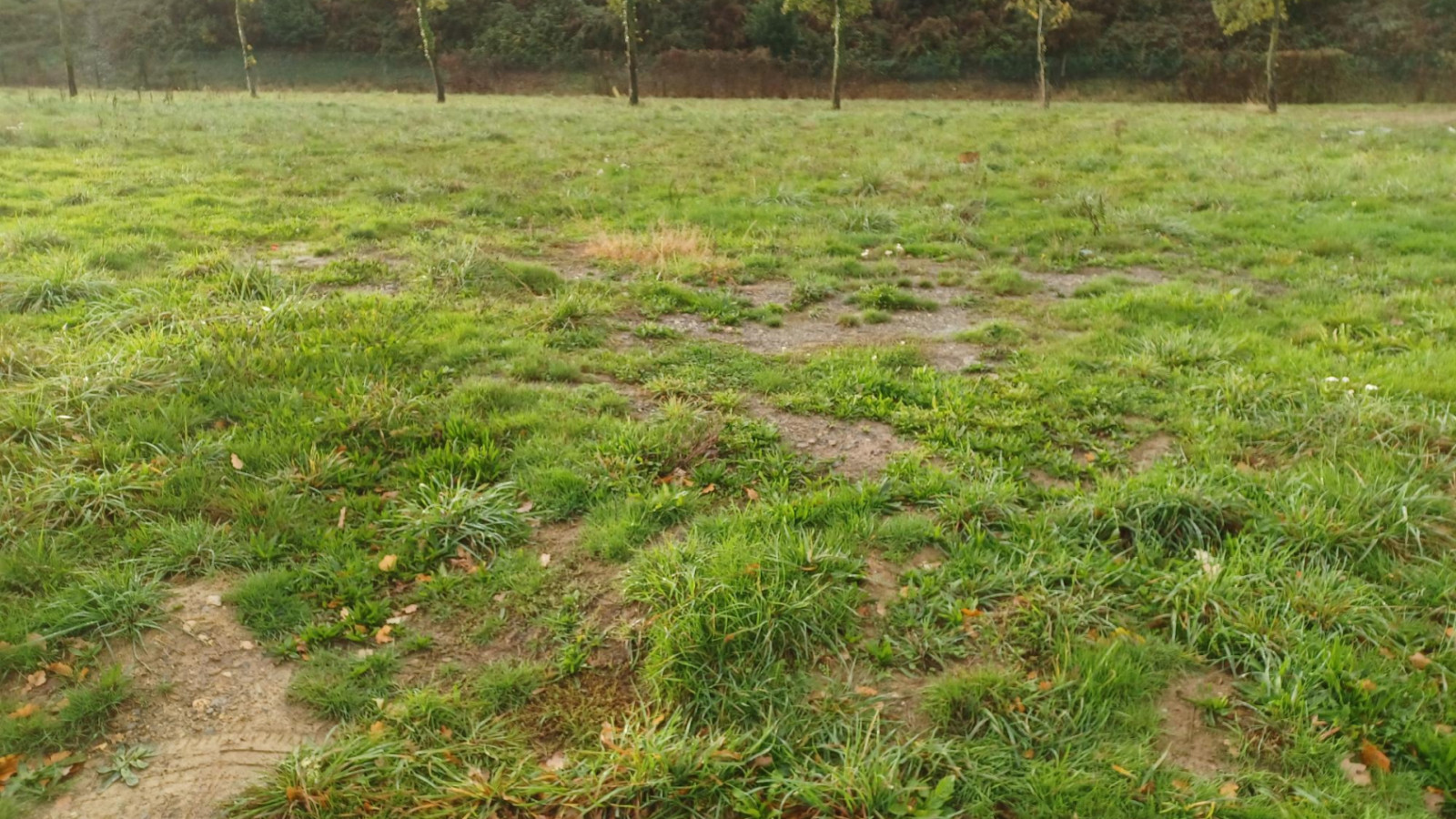 Terrain constructible de 474m2 à Montreuil-le-Gast