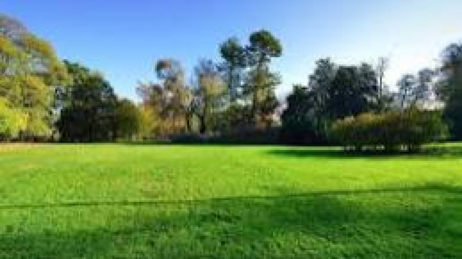 Terrain constructible de 360m2 à La Guerche-de-Bretagne