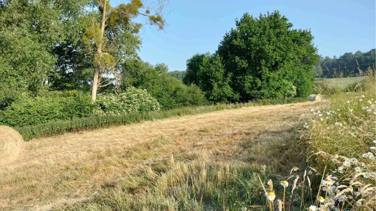 Terrain constructible de 418m2 à Saint-Germain-sur-Ille