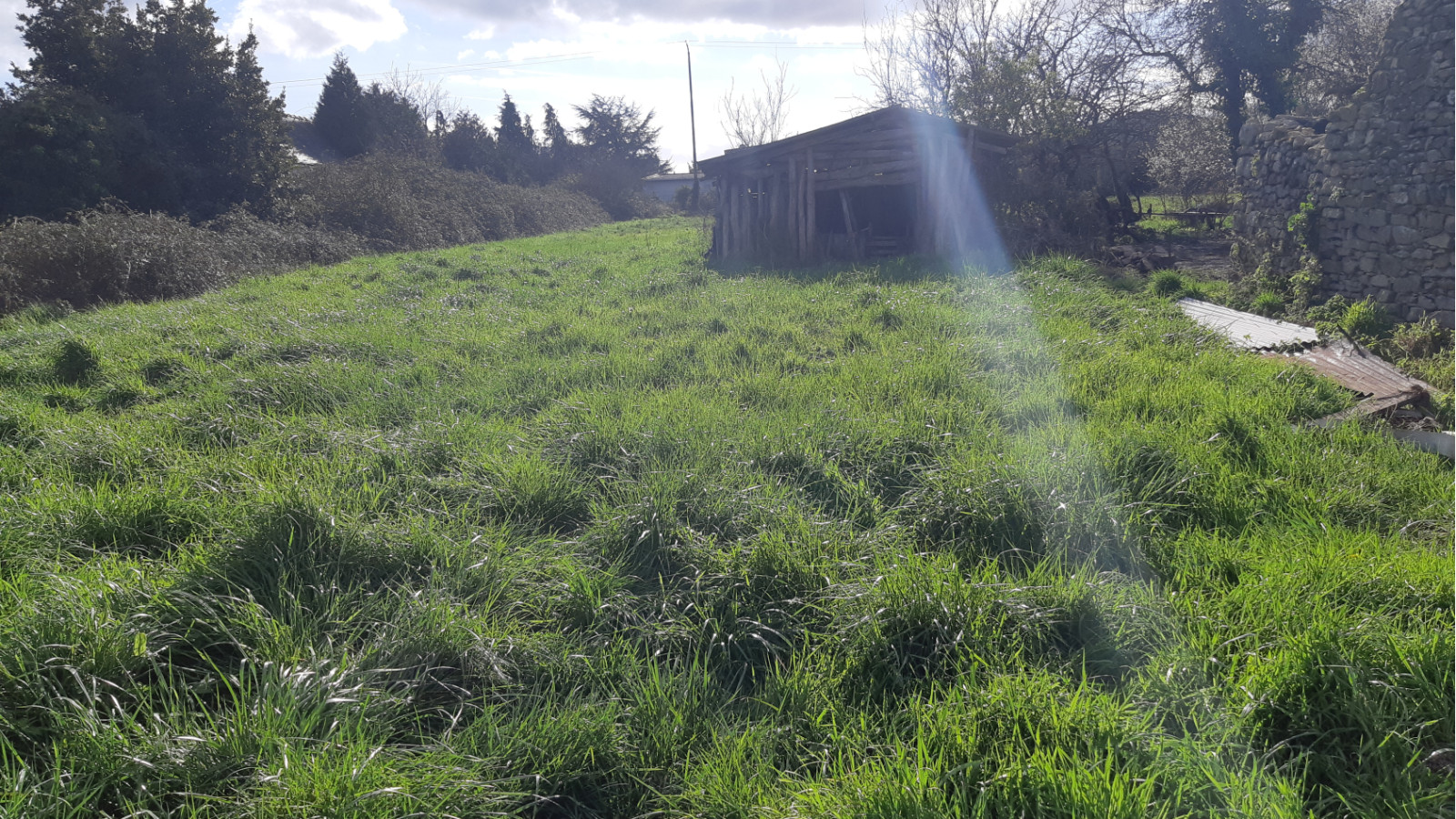 Terrain constructible de 670m2 à Guenrouet