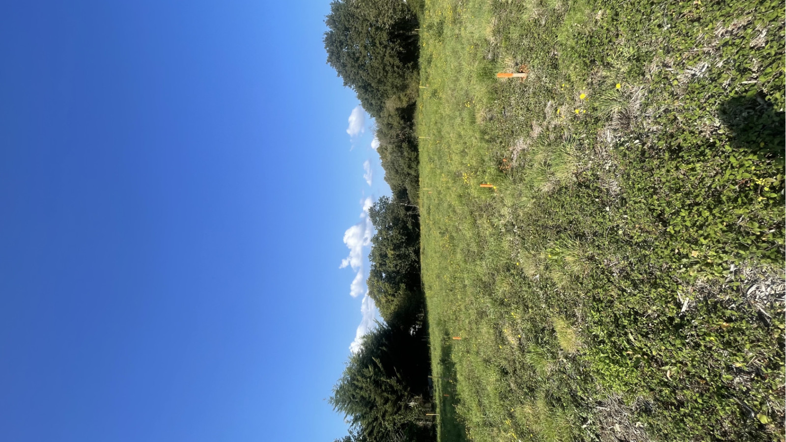 Terrain constructible de 690m2 à La Baule-Escoublac