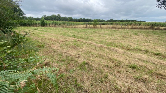 008-Vue avant SUD EST.jpeg