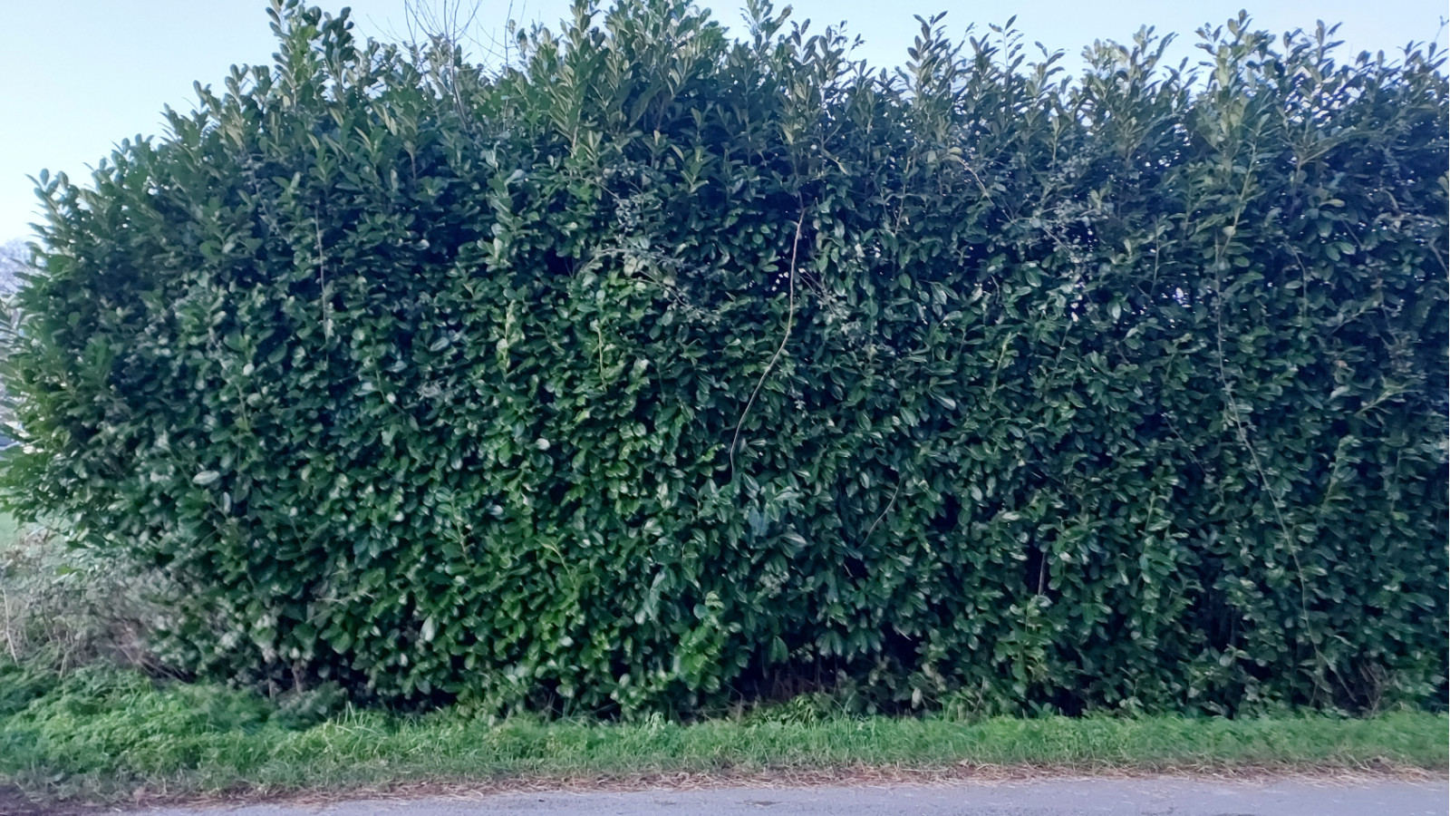 Terrain constructible de 1300m2 à Pontchâteau