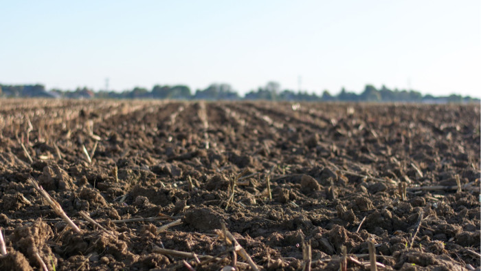 Comment trouver un terrain en adéquation avec votre projet ?