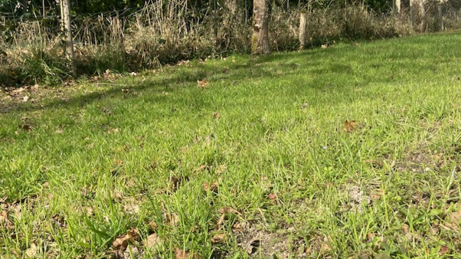 Terrain constructible de 720m2 à Plessé