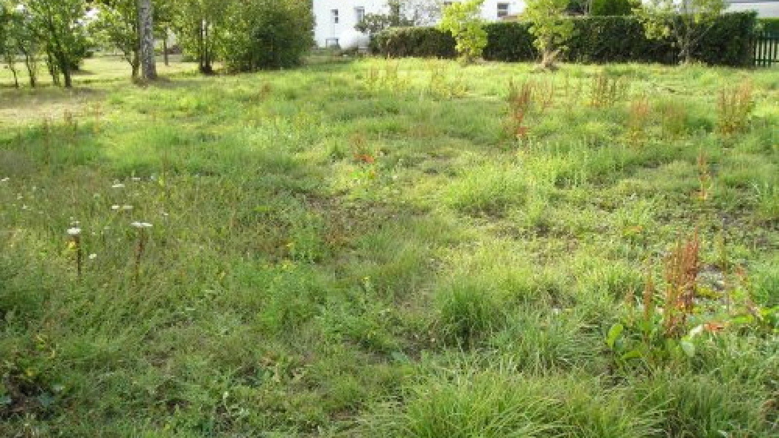 Terrain constructible de 1257m2 à Pontchâteau