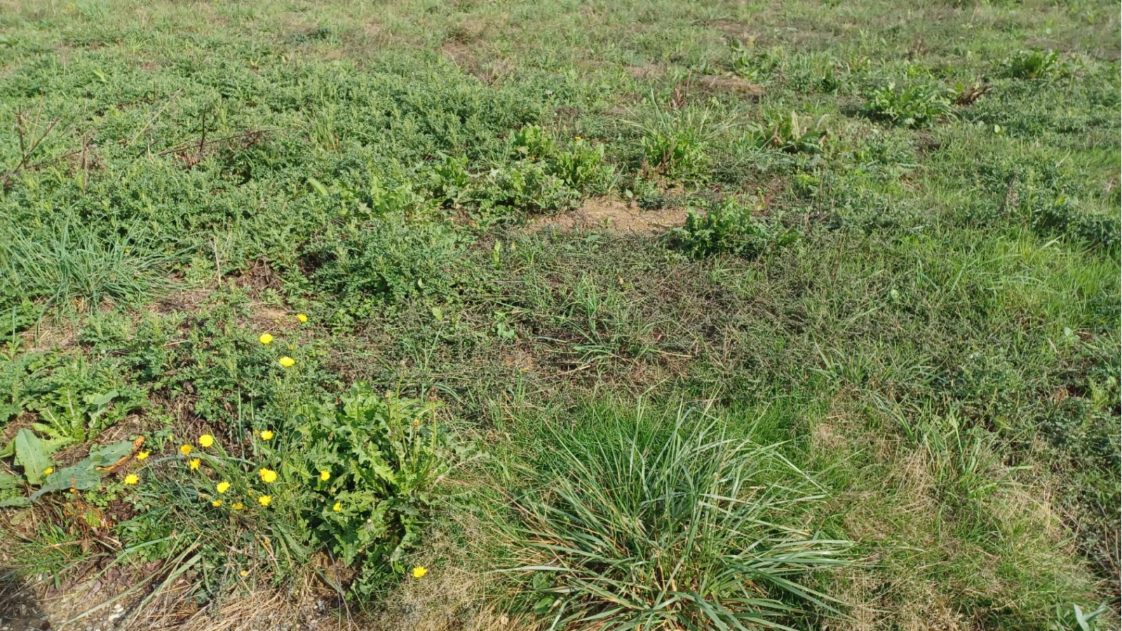 Terrain constructible de 617m2 à Saint-Méen-le-Grand