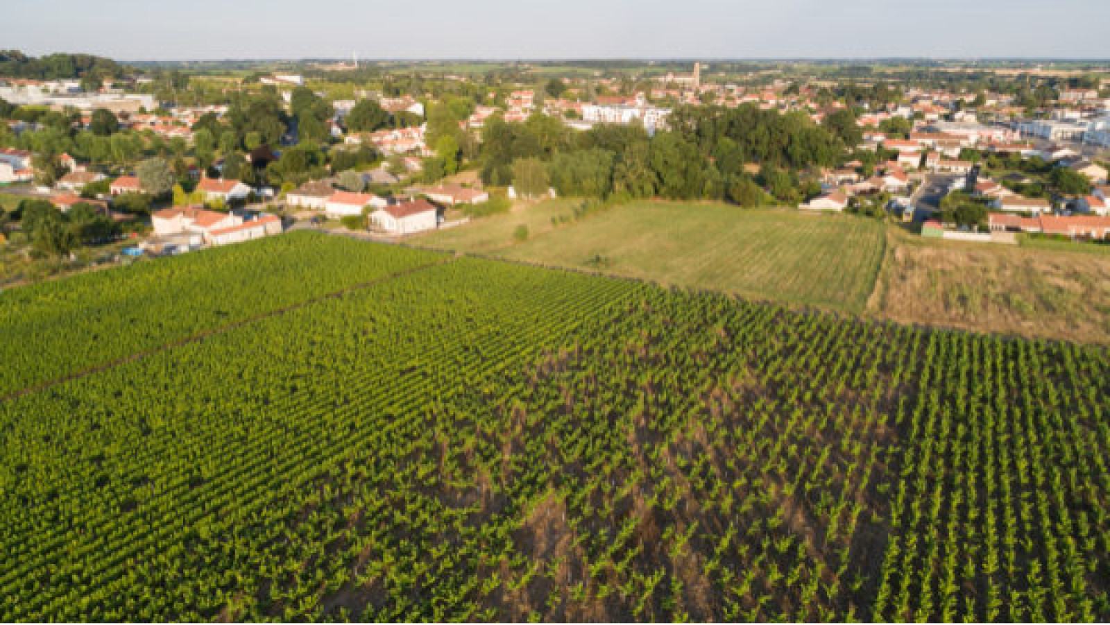 Terrain constructible de 415m2 à Vallet