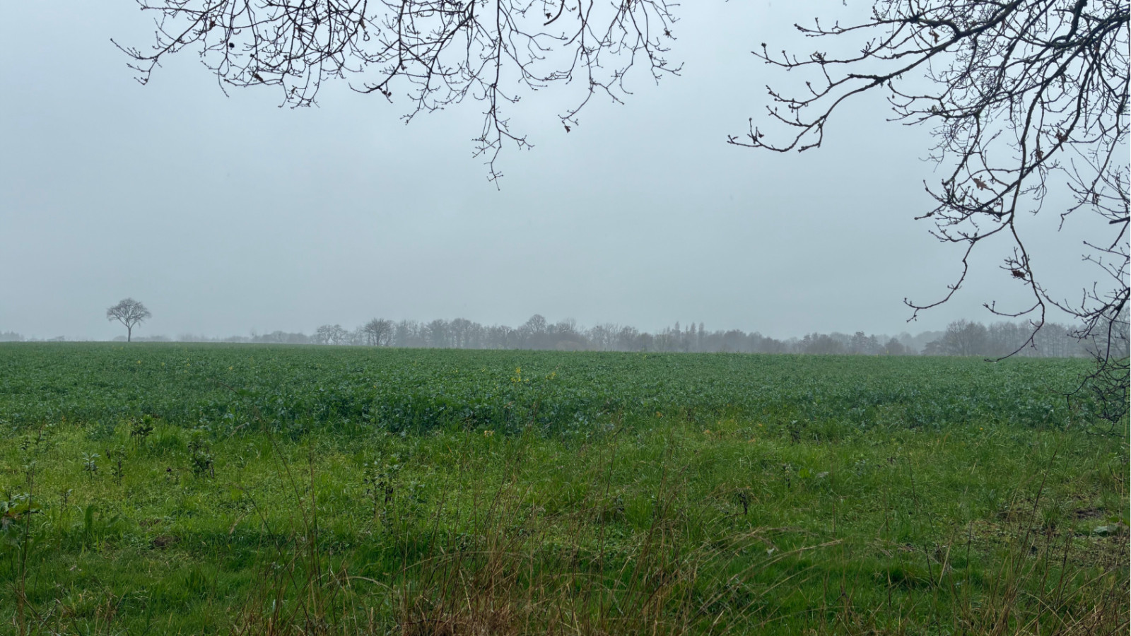 Terrain constructible de 670m2 à Sévérac