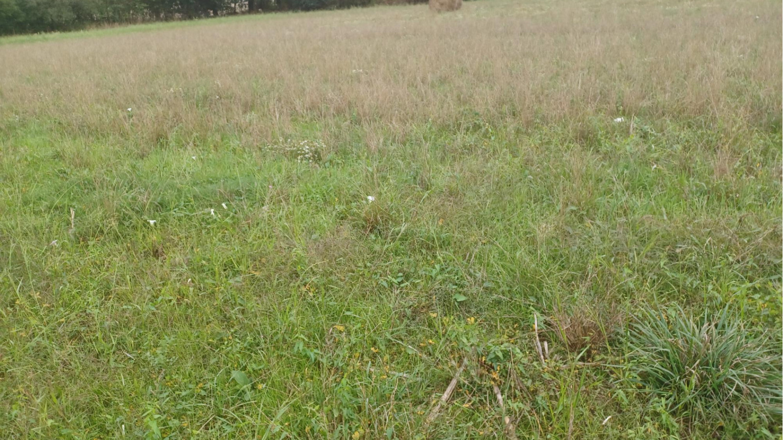 Terrain constructible de 993m2 à Le Tronchet