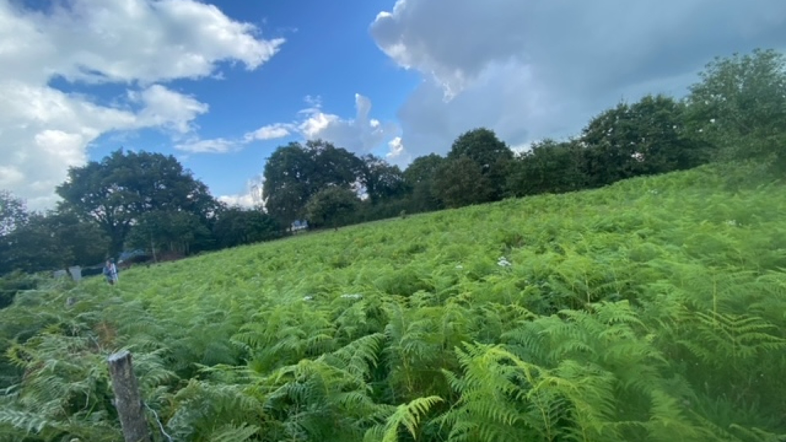 Terrain constructible de 710m2 à Besné