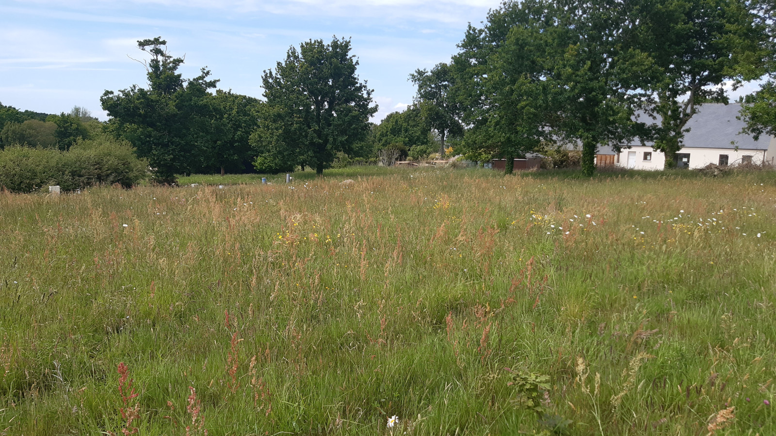 Terrain constructible de 313m2 à Landujan